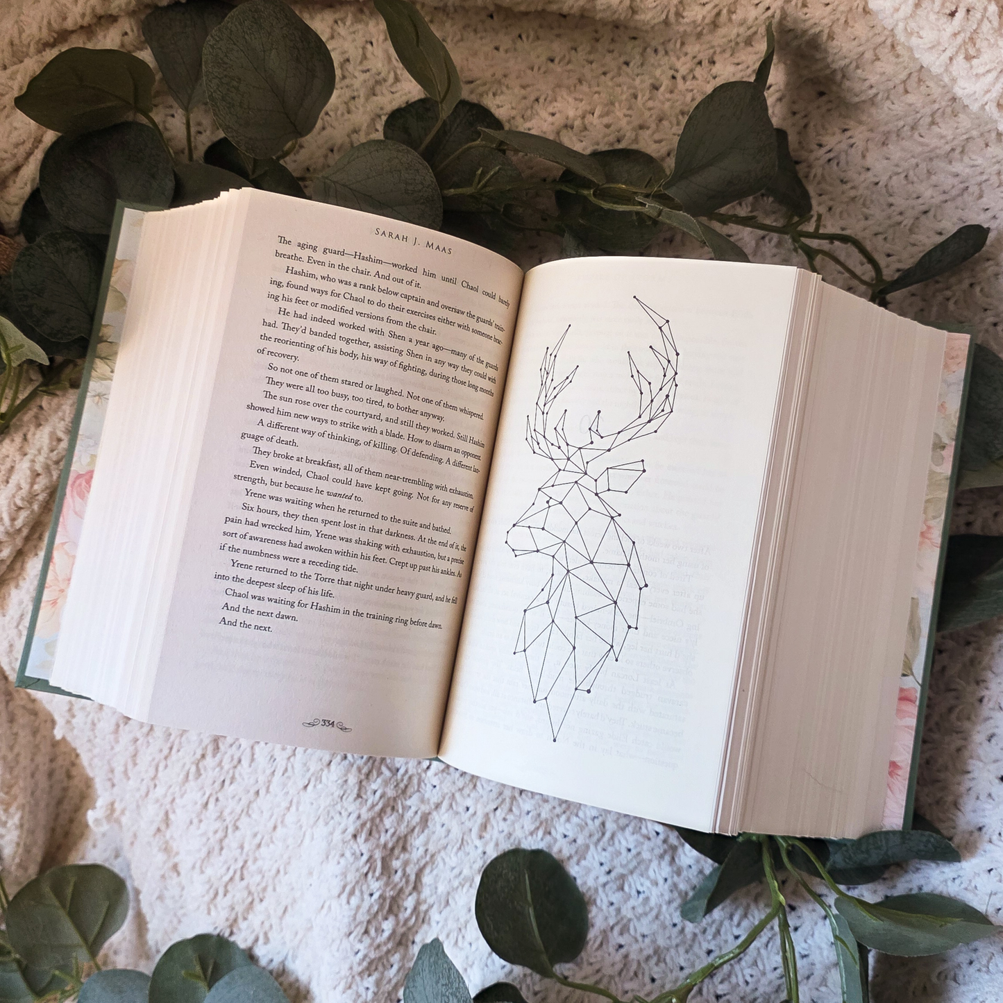 Throne of Glass by Sarah J Maas | Tandem Read Set